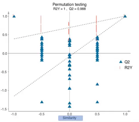 Permutation Test Analysis of OPLS-DA Model Stability